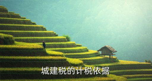 城建稅計(jì)稅依據(jù)，城建稅的計(jì)稅依據(jù)是應(yīng)交增值稅還是應(yīng)補(bǔ)增值稅