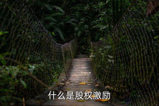股權(quán)激勵(lì)制度，什么是股權(quán)激勵(lì)詳細(xì)回答