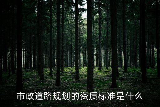 市政資質(zhì)，市政道路規(guī)劃的資質(zhì)標準是什么