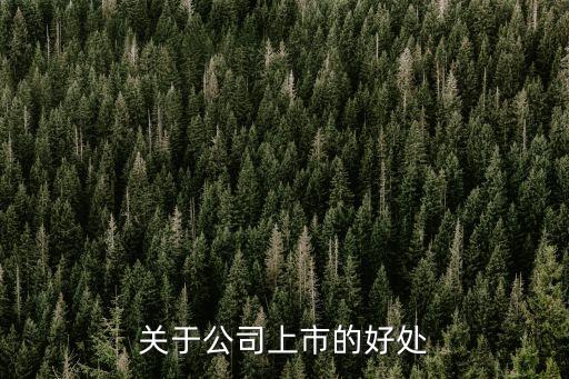 關(guān)于公司上市的好處