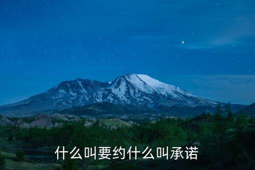 什么叫要約什么叫承諾