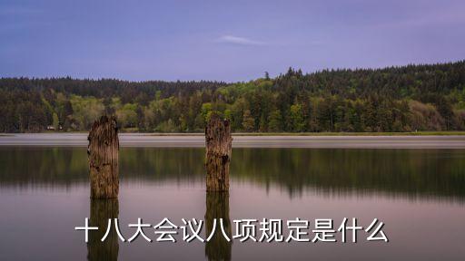 十八大會議八項規(guī)定是什么