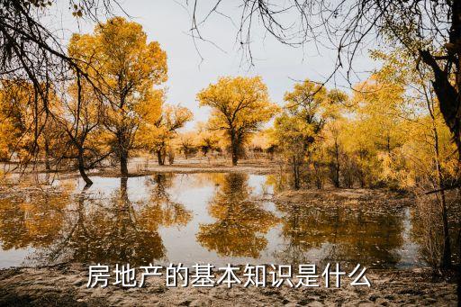 房地產(chǎn)的基本知識是什么