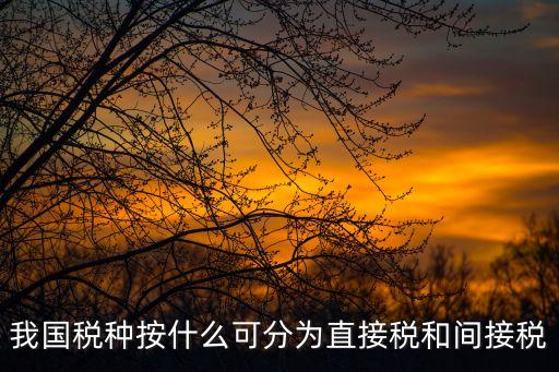 我國稅種按什么可分為直接稅和間接稅