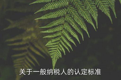 一般納稅人的認(rèn)定標(biāo)準(zhǔn)，一般納稅人標(biāo)準(zhǔn)
