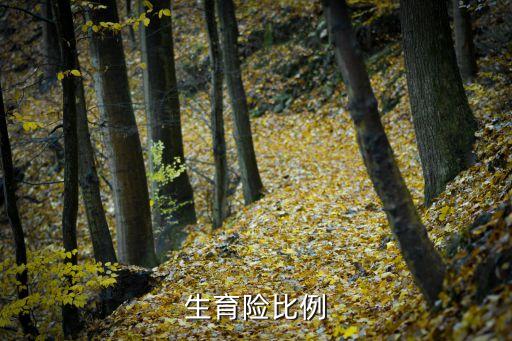 生育保險比例，生育保險繳費比例