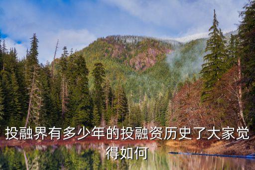 投融，什么叫做投融資