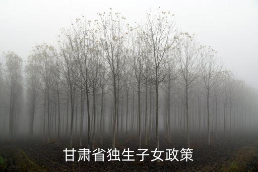 甘肅省獨生子女政策