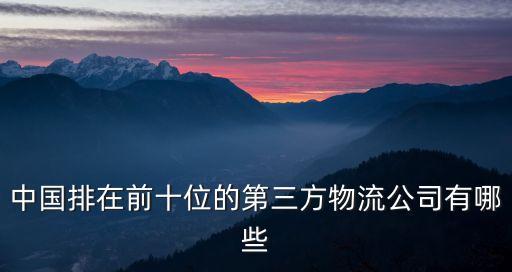 中國(guó)排在前十位的第三方物流公司有哪些
