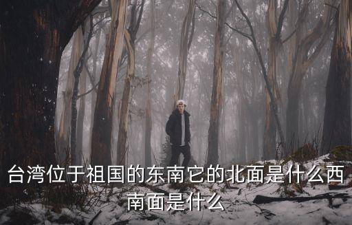 臺灣位于祖國的東南它的北面是什么西南面是什么