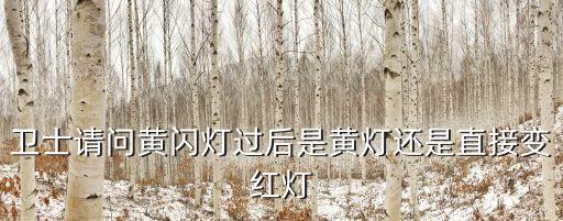 衛(wèi)士請問黃閃燈過后是黃燈還是直接變紅燈