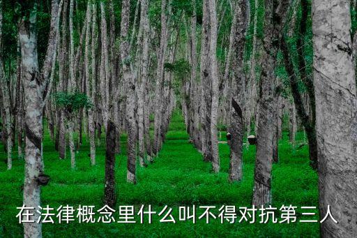 在法律概念里什么叫不得對(duì)抗第三人