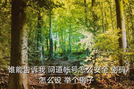 jizizi，誰能告訴我 問道帳號(hào)怎么安全 密碼怎么設(shè) 舉個(gè)例子