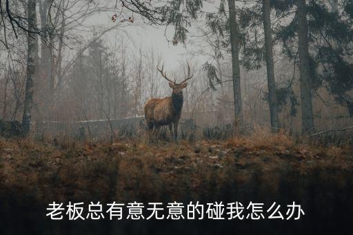 老板總有意無意的碰我怎么辦