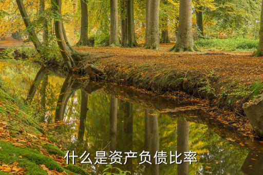 企業(yè)負債率，企業(yè)資產(chǎn)負債率在哪個范圍內(nèi)算正常