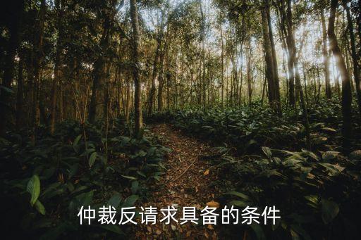 仲裁反請求具備的條件