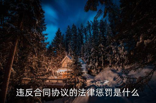 違反合同，違反合同協(xié)議的法律懲罰是什么