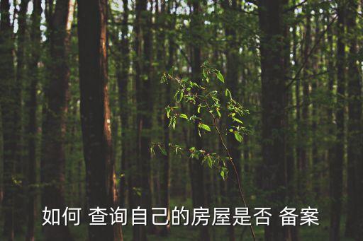 個人房產(chǎn)備案查詢系統(tǒng),仿真房產(chǎn)證證書制作