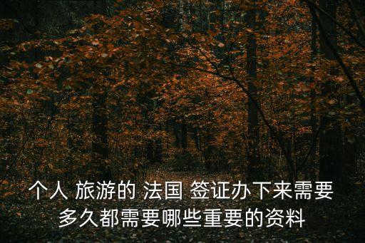個人 旅游的 法國 簽證辦下來需要多久都需要哪些重要的資料