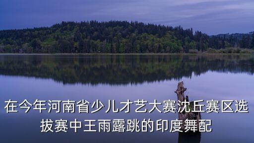在今年河南省少兒才藝大賽沈丘賽區(qū)選拔賽中王雨露跳的印度舞配