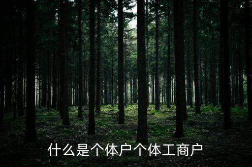 什么是個體戶個體工商戶