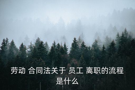 勞動(dòng) 合同法關(guān)于 員工 離職的流程是什么