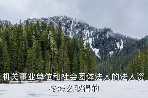 機(jī)關(guān)事業(yè)單位和社會(huì)團(tuán)體法人的法人資格怎么取得的