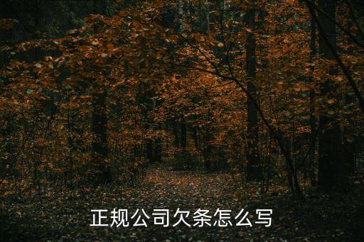 正規(guī)公司欠條怎么寫