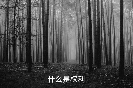權(quán)利是什么意思，什么是權(quán)利