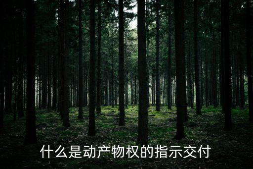 指示交付，指示交付的方式設(shè)立質(zhì)權(quán)質(zhì)權(quán)如何設(shè)立