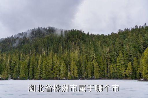 蘆淞區(qū)屬于哪個(gè)市,株洲市蘆淞區(qū)屬于哪個(gè)省