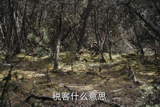 九合創(chuàng)投