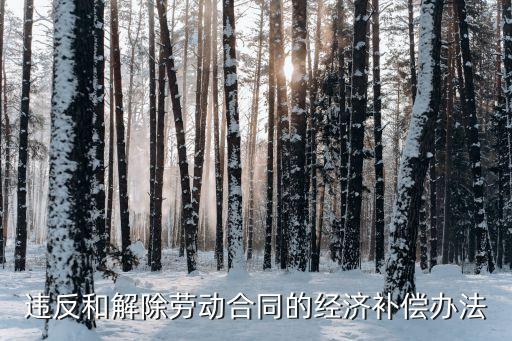 違反和解除勞動合同的經濟補償辦法，違反和解除勞動合同的經濟補償辦法是多少