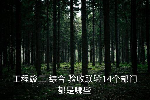 綜合驗(yàn)收