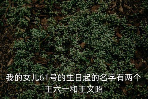 我的女兒61號的生日起的名字有兩個王六一和王文昭
