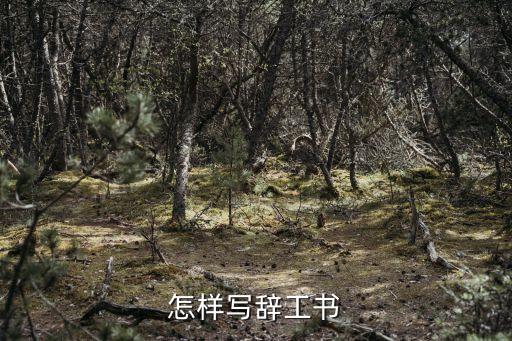 怎樣寫辭工書