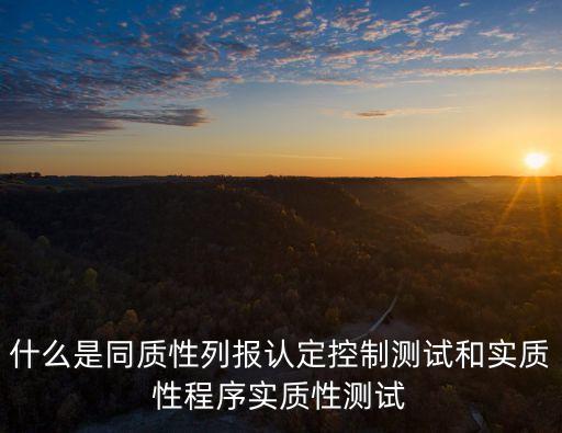 實(shí)質(zhì)性程序，審計(jì)中的實(shí)質(zhì)性程序什么意思