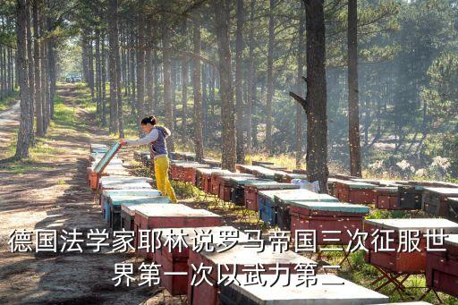 耶林，我要德意志法學家耶林說過的關于羅馬三次征服世界的原話