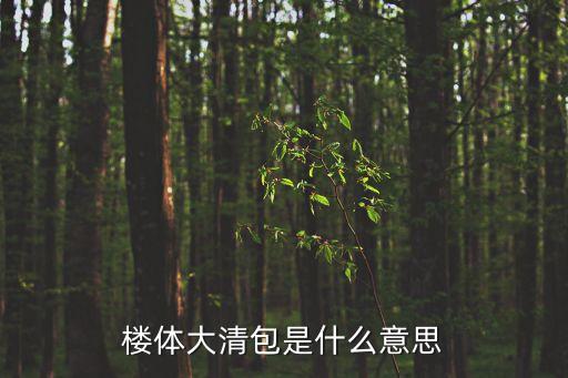 樓體大清包是什么意思