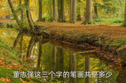 董志強(qiáng)這三個字的筆畫共是多少