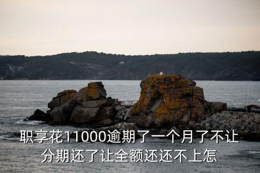 職享花11000逾期了一個月了不讓分期還了讓全額還還不上怎