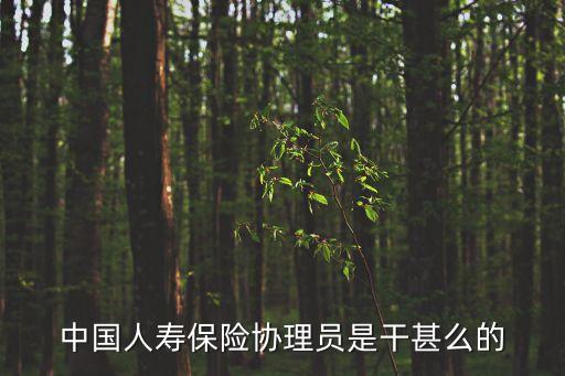 中國人壽保險(xiǎn)協(xié)理員是干甚么的