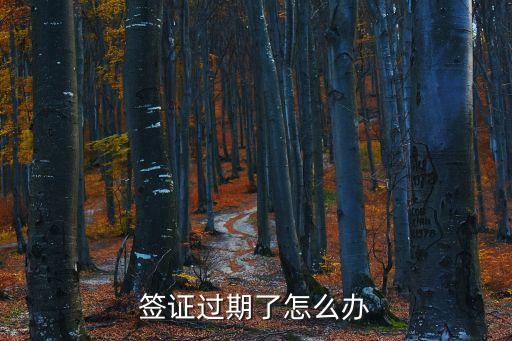 簽證過期，旅游簽證過期怎么辦