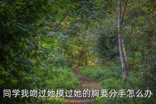 同學(xué)我吻過她摸過她的胸要分手怎么辦
