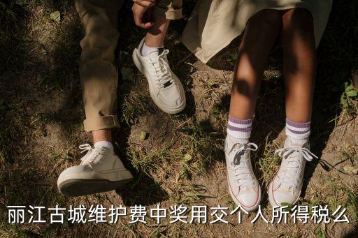 麗江古城維護(hù)費(fèi)中獎用交個(gè)人所得稅么