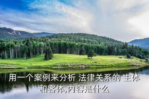 用一個案例來分析 法律關系的 主體和客體,內容是什么