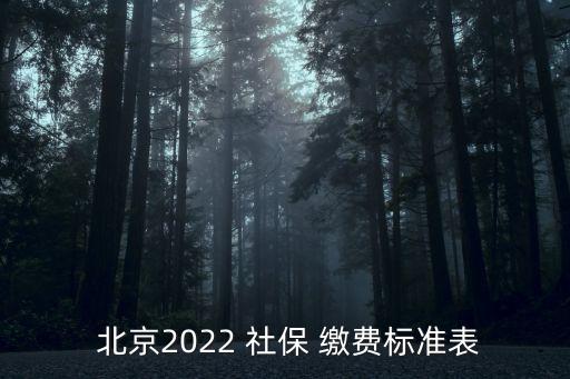  北京2022 社保 繳費標準表