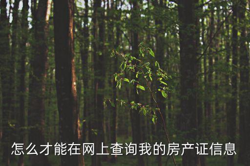 房屋產(chǎn)權(quán)證查詢，怎樣查詢自己的房產(chǎn)證