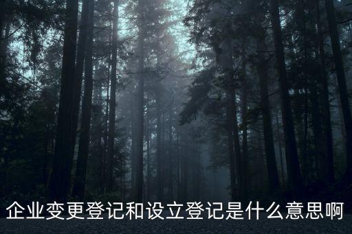 企業(yè)變更登記和設(shè)立登記是什么意思啊