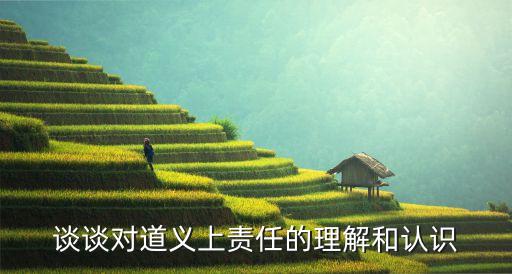 談?wù)剬?duì)道義上責(zé)任的理解和認(rèn)識(shí)